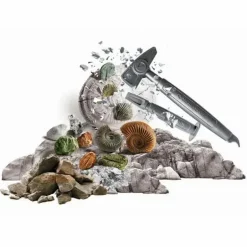 Ausgrabungsset: Fossilien & Mineralien
