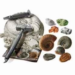 Ausgrabungsset: Fossilien & Mineralien