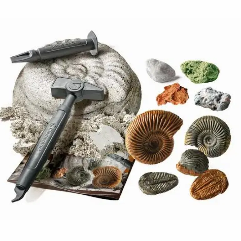 Ausgrabungsset: Fossilien & Mineralien