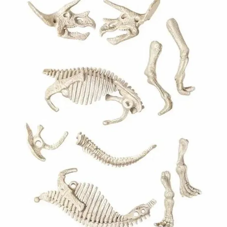 Ausgrabungsset: Triceratops