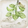 BASIL cream Lunch-Servietten L 945860