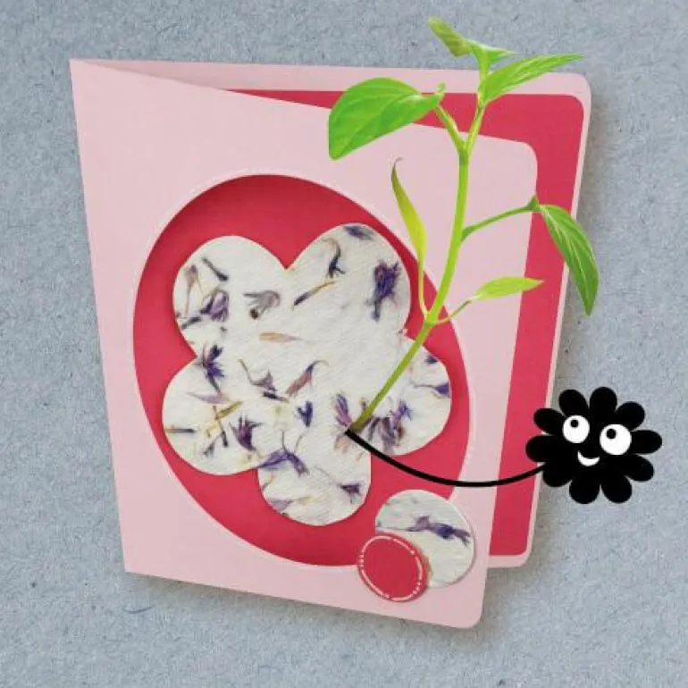Bastelbox: Blühendes Papier - Lass Blumen aus dein