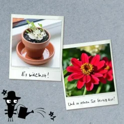 Bastelbox: Blühendes Papier - Lass Blumen aus dein