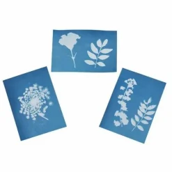 Blatt-und Blütenpresse mit Sonnendruckpapier - Exp