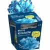 Blaue Kristalle züchten