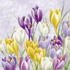 BLOOMING CROCUS Lilac Lunch-Servietten L1034180