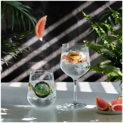 Botanic Lights Gin Kelch 2er 1 2 H. Zuschke H22