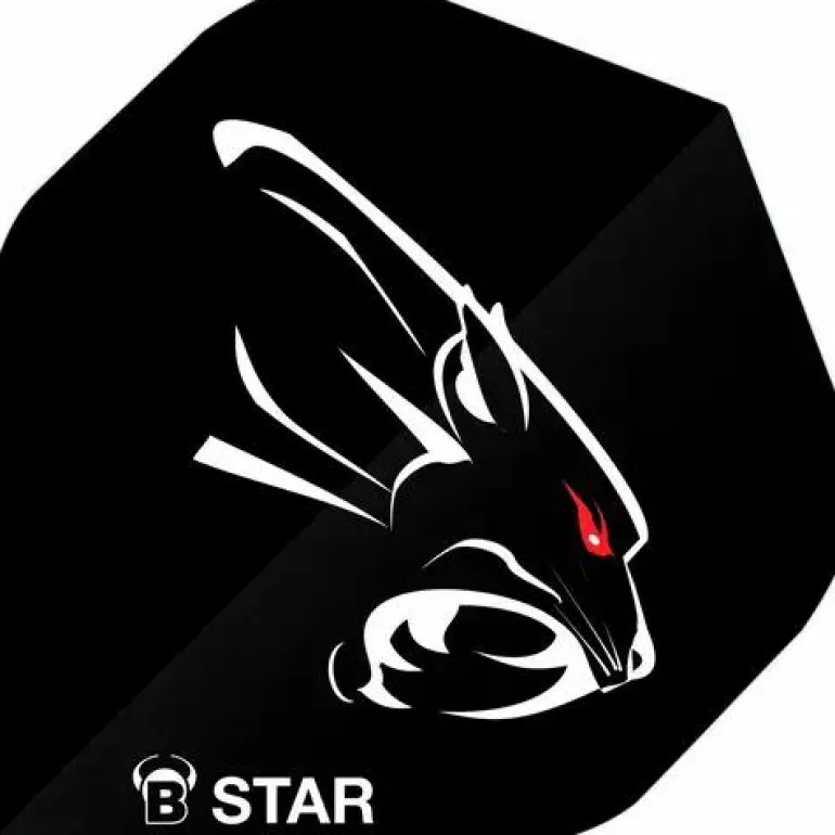 BULL'S® B-Star Flights
