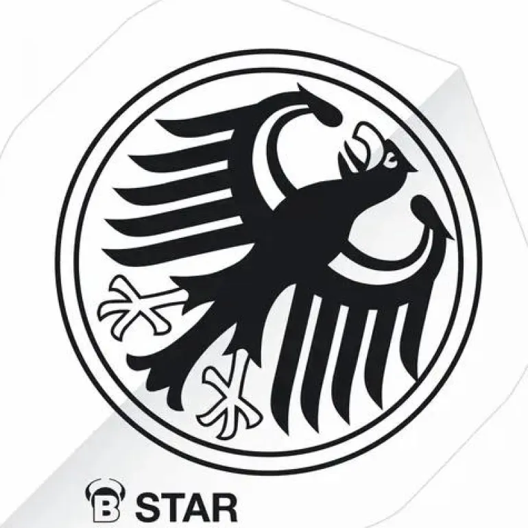 BULL'S® B-Star Flights