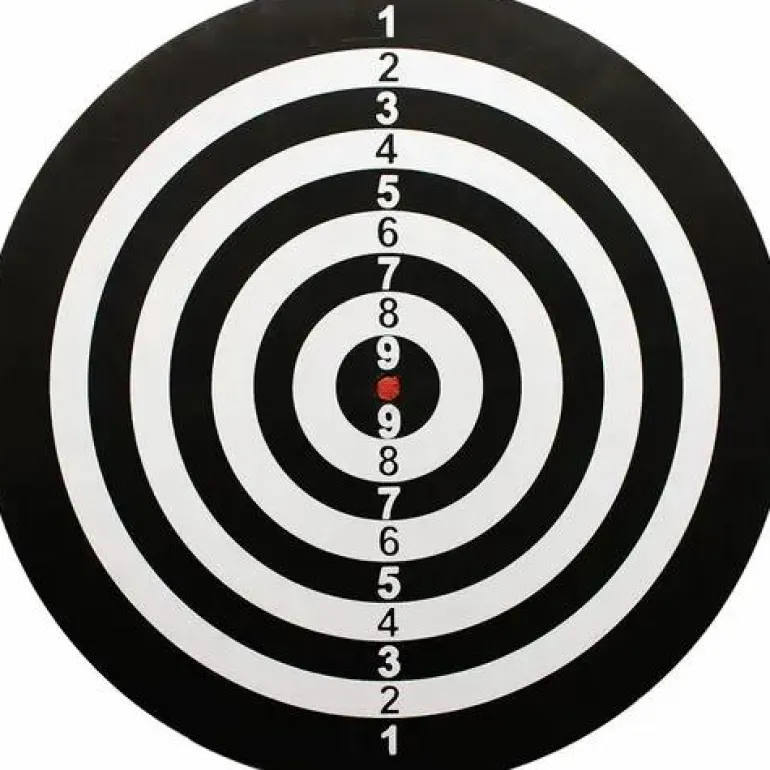 BULL'S® Windsor Paper Dartboard