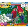 Bunte Papageien - Malen nach Zahlen