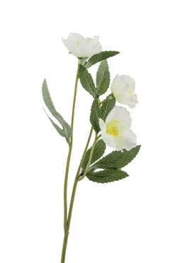 Christrose/weiß/ H35,5cm