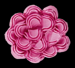 Chrysanthementülle