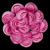 Chrysanthementülle Gezackt