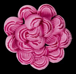 Chrysanthementülle Gezackt