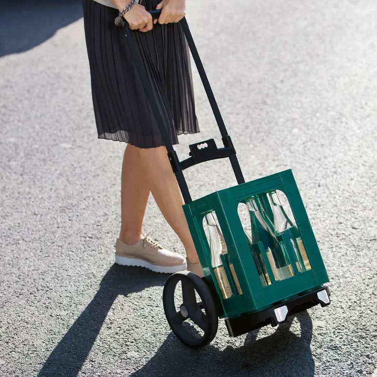 Citycruiser rack black Tasche auf Rollen