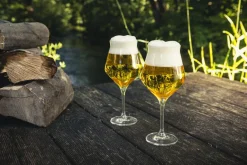 Craft Beer Kelch 203/1
