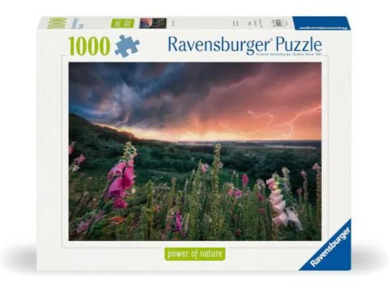 Ein Sturm zieht auf - Puzzle 1000 Teile