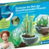 Entdecke die Welt der fleischfressenden Pflanzen