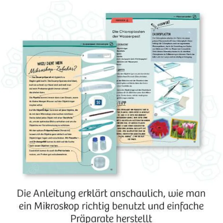 Entdecker-Mikroskop - Das Starter-Set für Natur-Fo