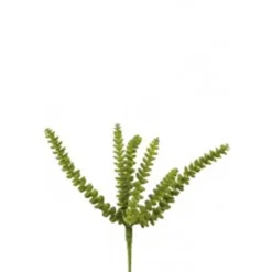 Eukalyptus/Kaktee grün H26
