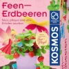 Feen-Erdbeeren - Säen, pflegen und süße Früchte na