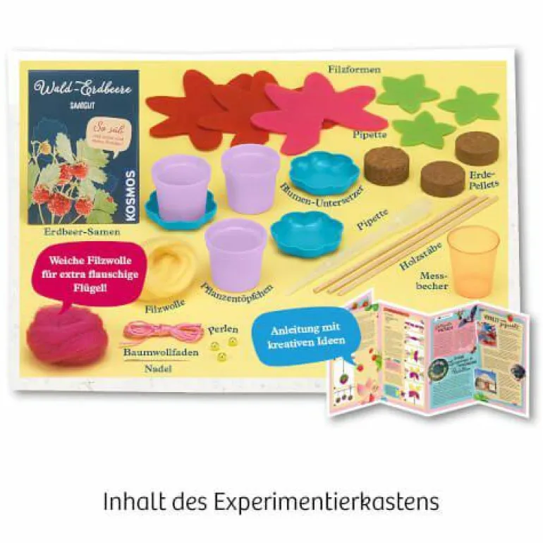 Feen-Erdbeeren - Säen, pflegen und süße Früchte na