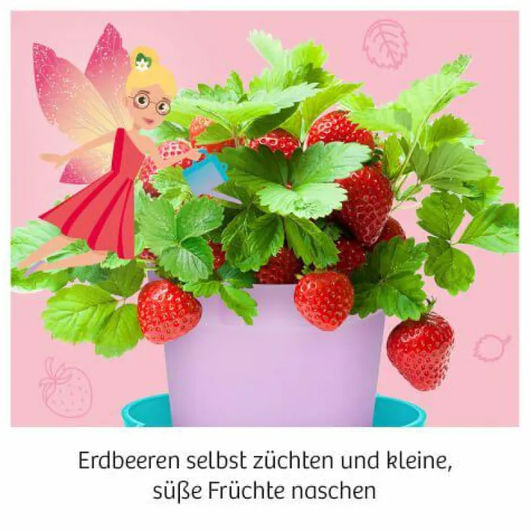 Feen-Erdbeeren - Säen, pflegen und süße Früchte na