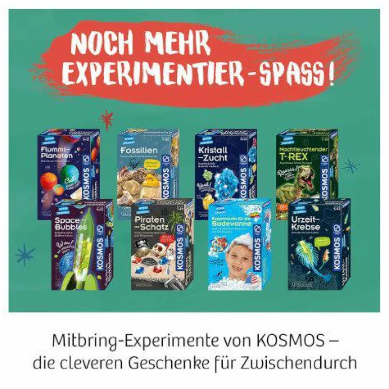 Feen-Erdbeeren - Säen, pflegen und süße Früchte na