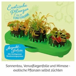 Fleischfressende Pflanzen - Züchte deine eigenen I