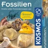 Fossilien - Ausgrabungs-Set