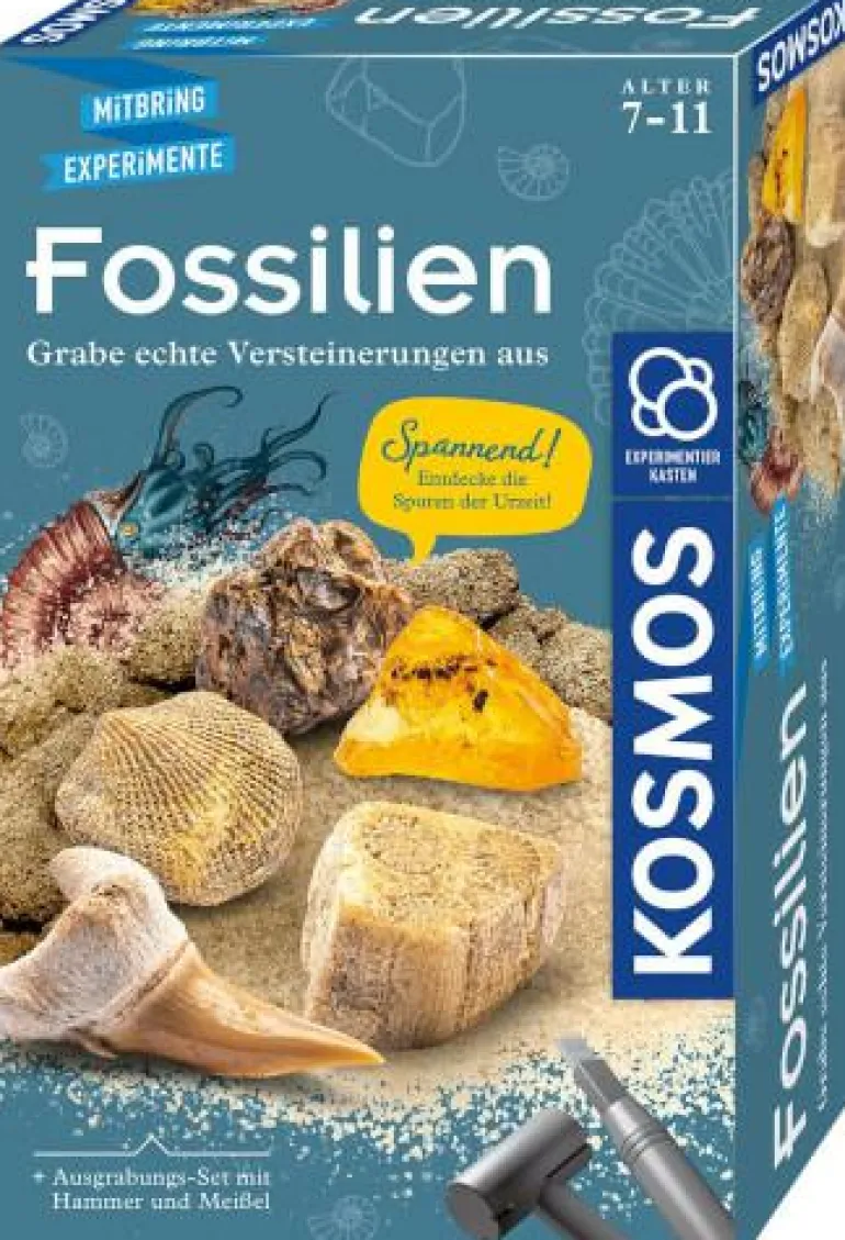 Fossilien - Ausgrabungs-Set