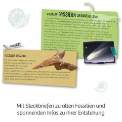Fossilien - Ausgrabungs-Set