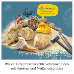 Fossilien - Ausgrabungs-Set