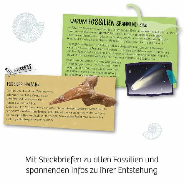 Fossilien - Ausgrabungs-Set