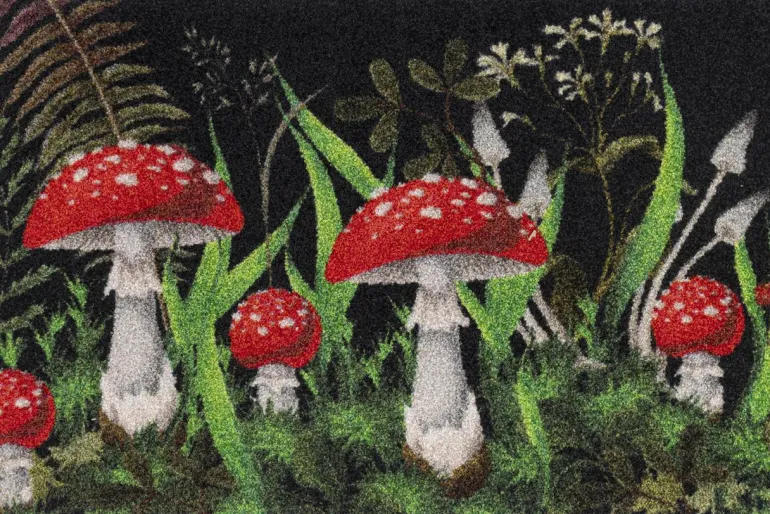 Fußmatte Fliegenpilz 50x75cm