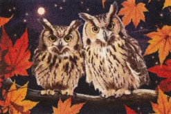 Fußmatte Nacht Eule 50x75cm