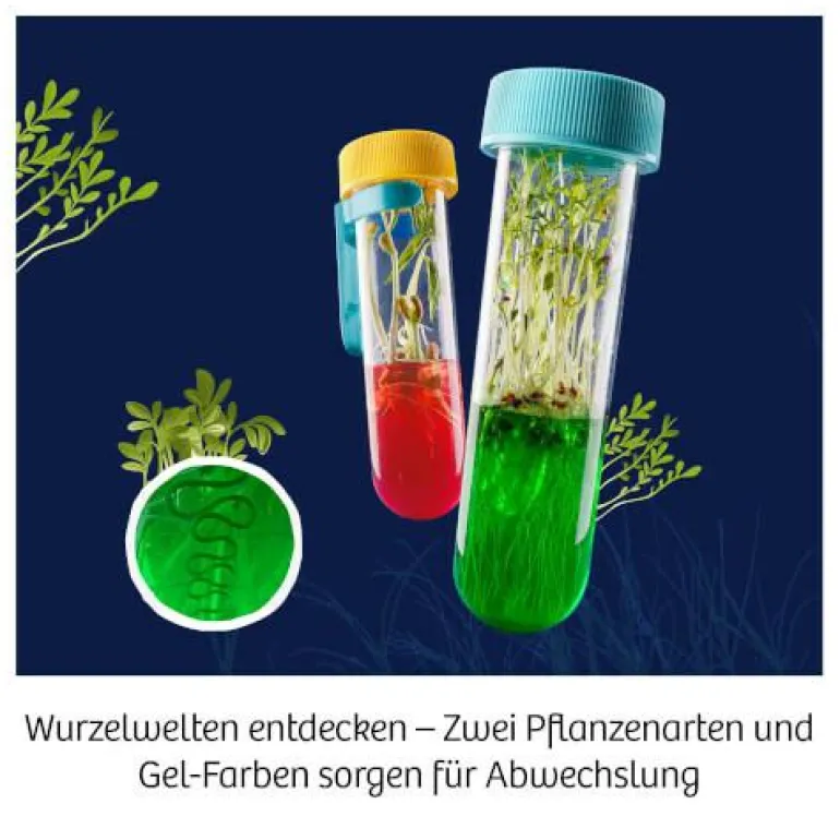 Fun Science - Aqua-Gel Pflanzen