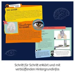 Fun Science - Brain Tricks