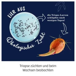 Fun Science - Triops züchten
