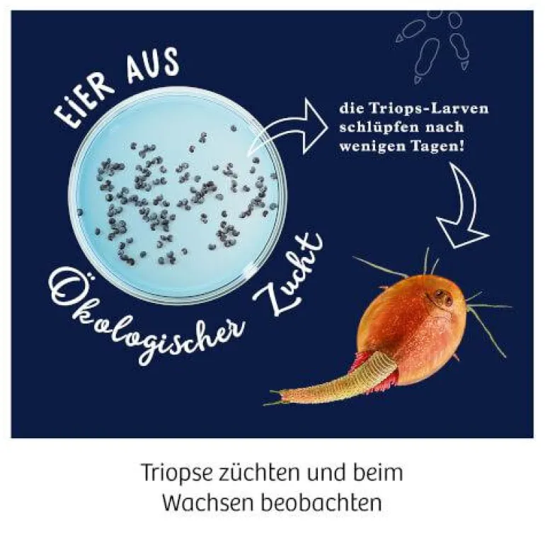 Fun Science - Triops züchten