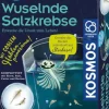 Fun Science - Wuselnde Salzkrebse