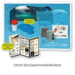 Fun Science - Wuselnde Salzkrebse