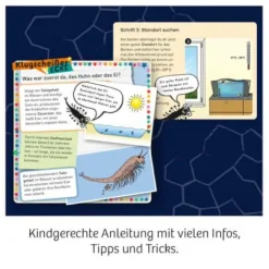 Fun Science - Wuselnde Salzkrebse