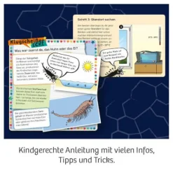 Fun Science - Wuselnde Salzkrebse