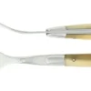 Gabel Horn hell glänzend