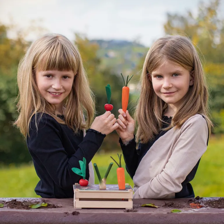 Gemüsebeet Erzi Garten