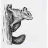 Geschirrtuch "Eichhörnchen" weiß Baumwolle