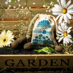 Gänseblümchen Samenbombe Jutebeutel