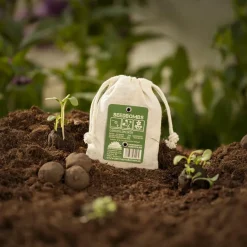 Gänseblümchen Samenbombe Jutebeutel